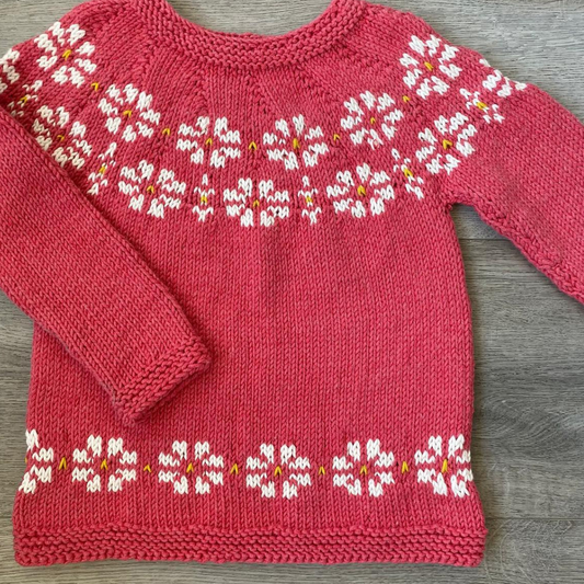 Patrón Suéter Lenga